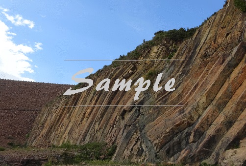 Product Information 產品資料