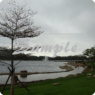 Product Information 產品資料