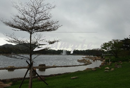 Product Information 產品資料